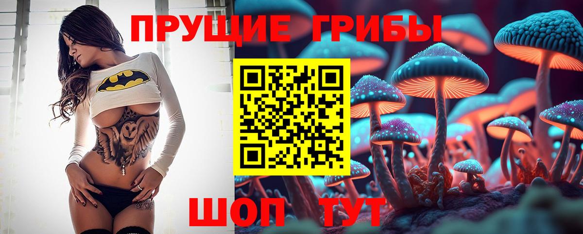 Сосновый Бор  Псилоцибиновые грибы Cubensis  Вход с VPN 